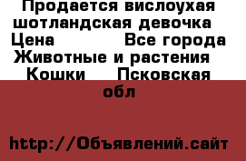 Продается вислоухая шотландская девочка › Цена ­ 8 500 - Все города Животные и растения » Кошки   . Псковская обл.